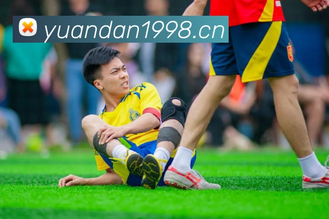 米兰体育在线登录入口发展历程